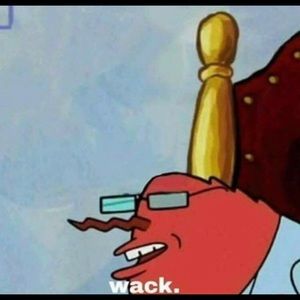 Meet your Posher, Kylie